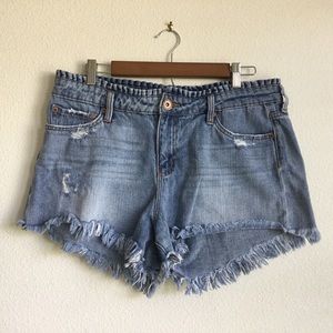Band of gypsies distressed jean shorts.